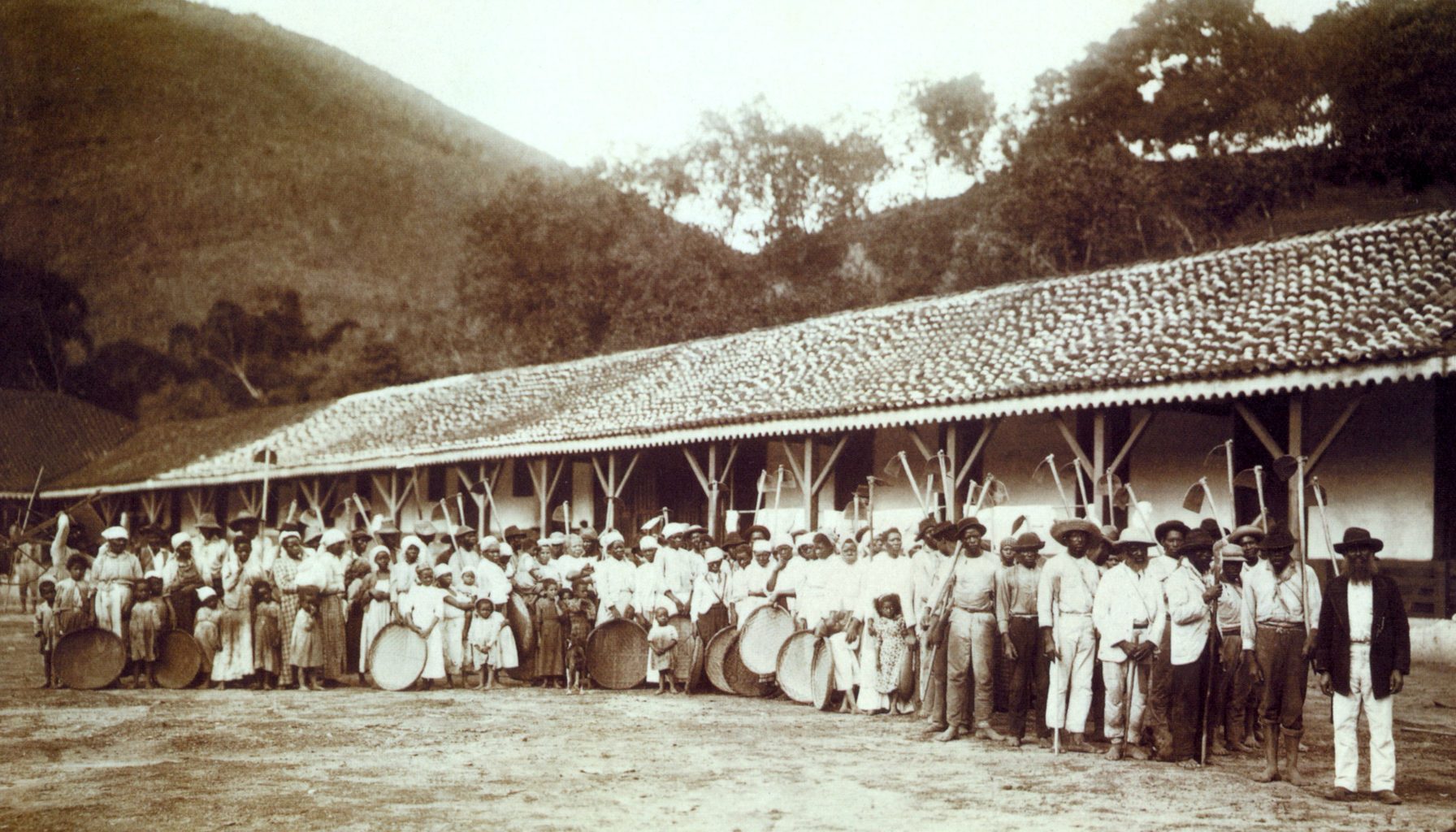 The workforce of a coffee estate in the 1880s, drawn up for the camera outside the senzala, the long tiled building where the estate's enslaved workers lived.